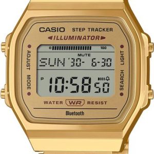 Casio Collection Vintage ABL-100WEG-9AEF